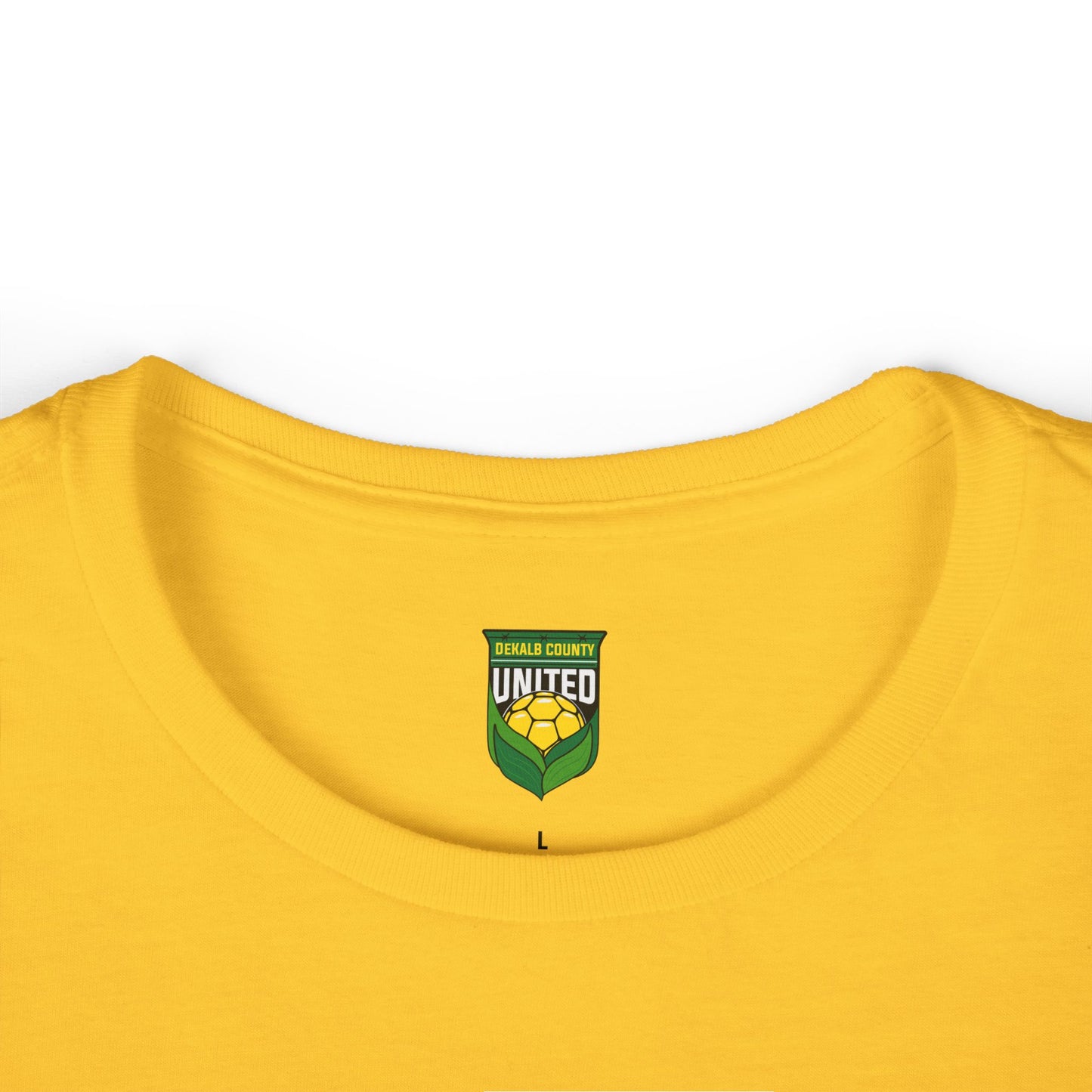 DKCU Pride of 815 Women's Tee