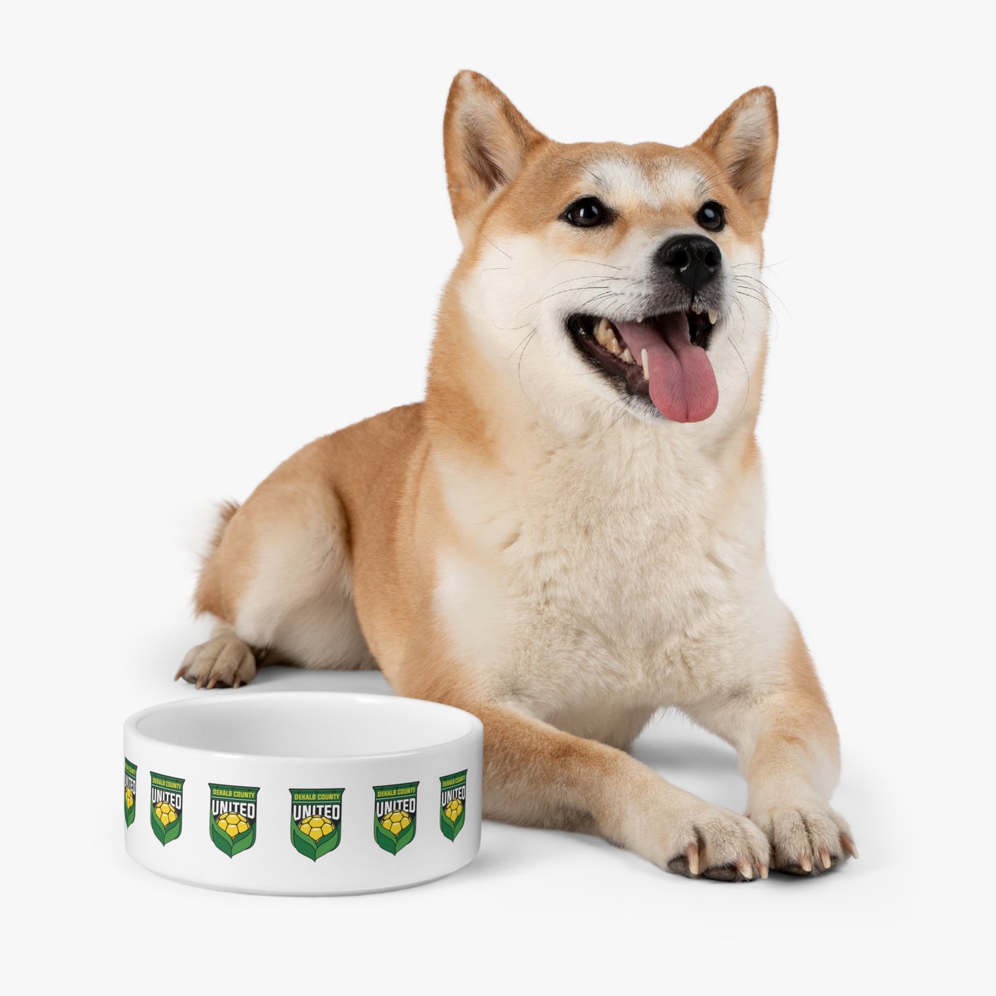 DKCU Pet Bowl
