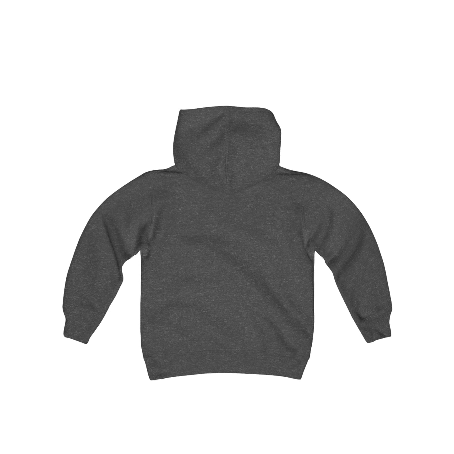 DKCU Academy Youth Heavy Blend Hooded Sweatshirt