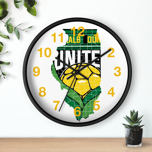 DKCU Illinois Outline Wall Clock