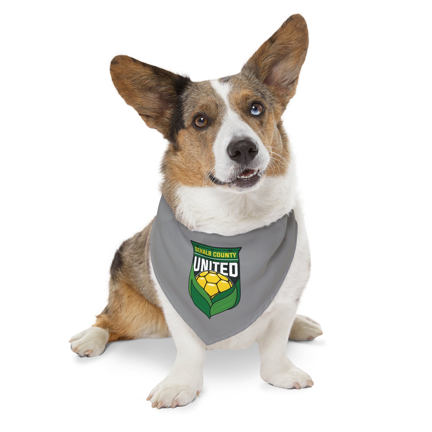 DKCU Pet Bandana Collar