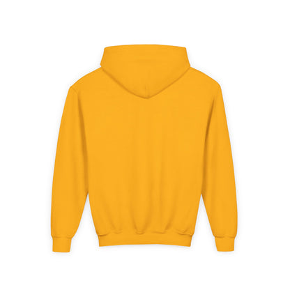 DKCU Youth Blend Hoodie
