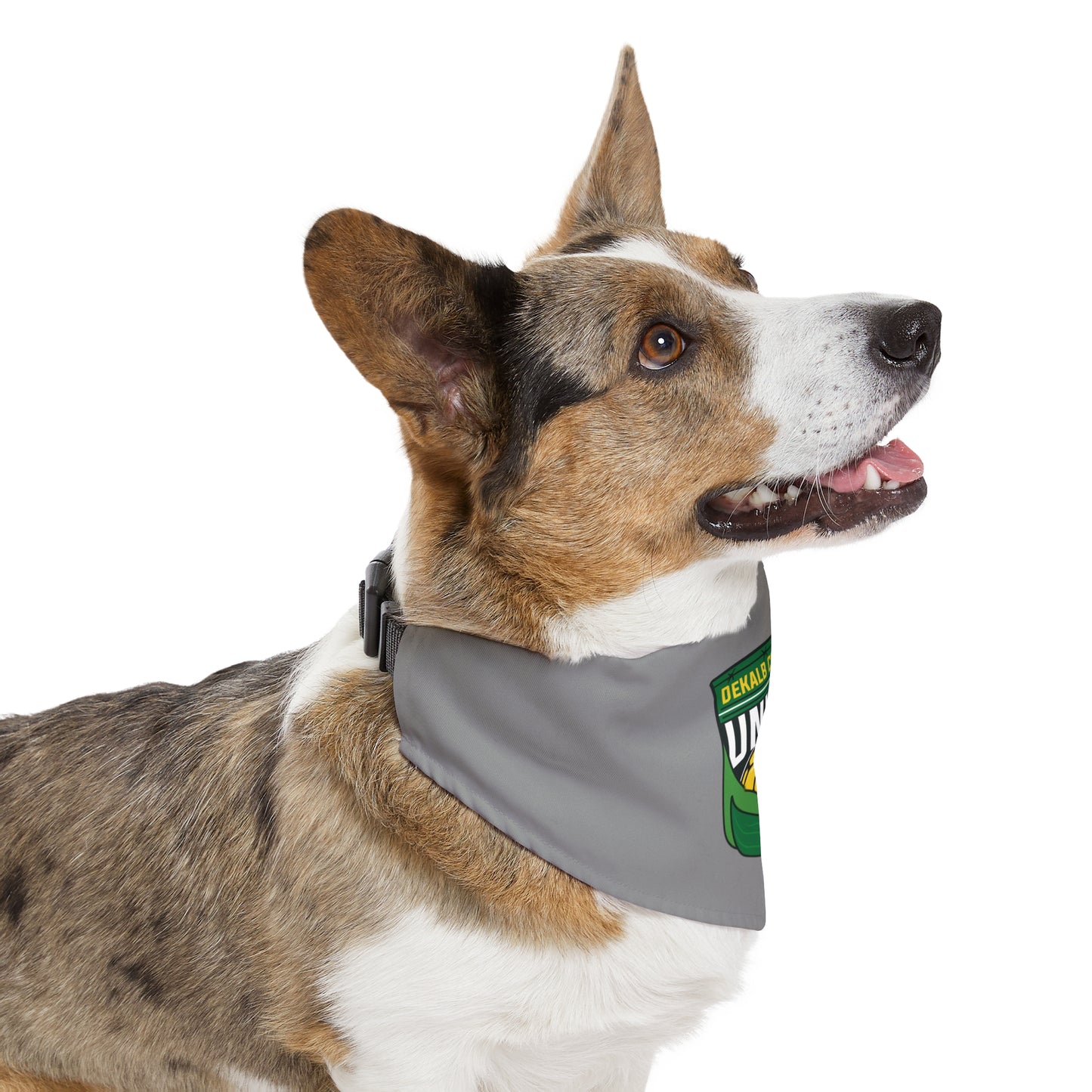 DKCU Pet Bandana Collar