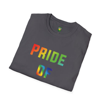 DKCU Pride Unisex T-Shirt