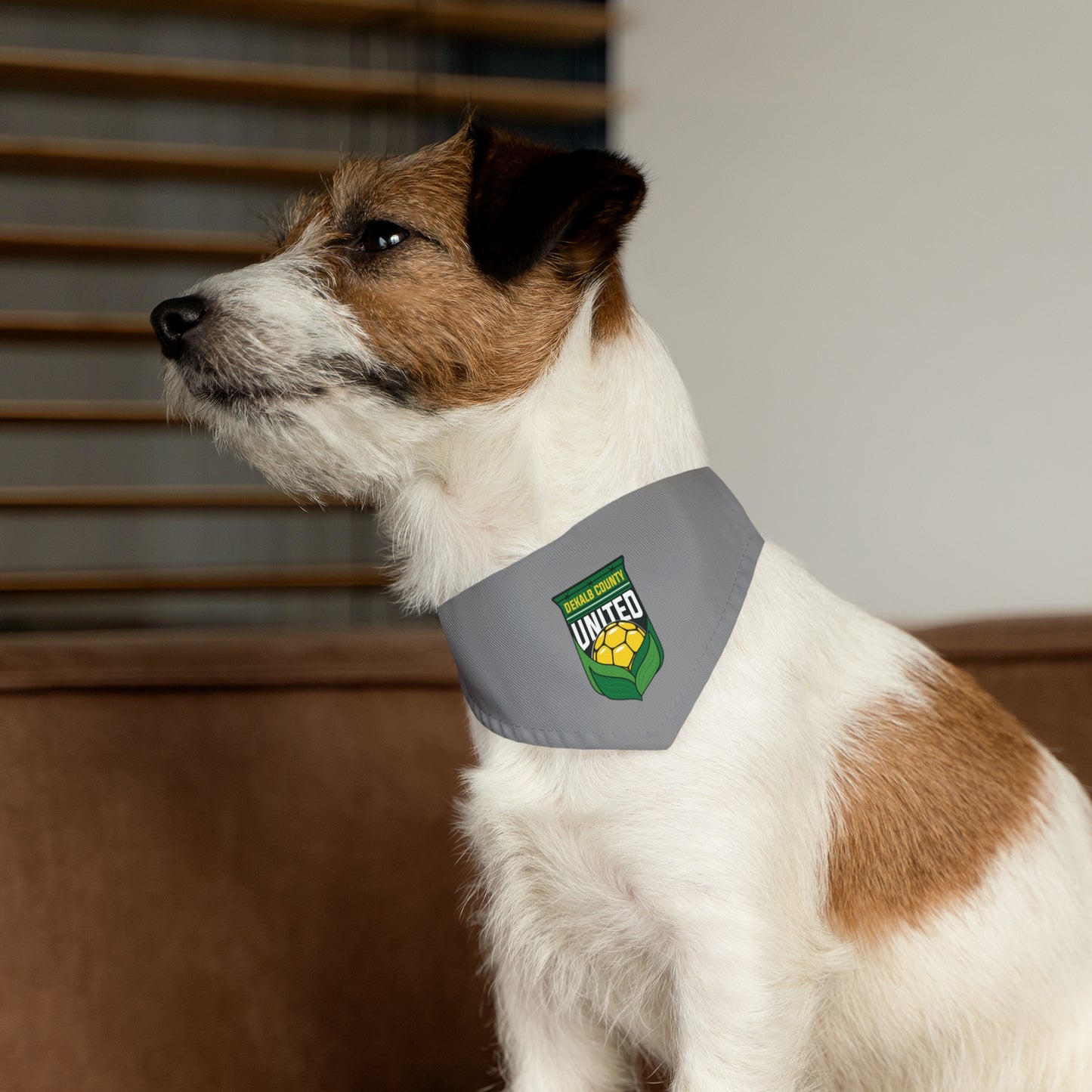 DKCU Pet Bandana Collar