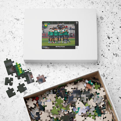 DeKalb County Men's Soccer Team Puzzle