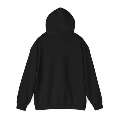 DKCU x HGTUSA Support Women Soccer Unisex Hooded Sweatshirt