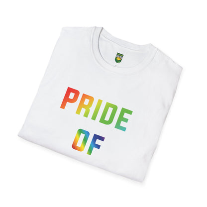 DKCU Pride Unisex T-Shirt