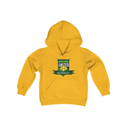 DKCU Academy Youth Heavy Blend Hooded Sweatshirt