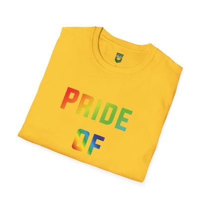 DKCU Pride Unisex T-Shirt