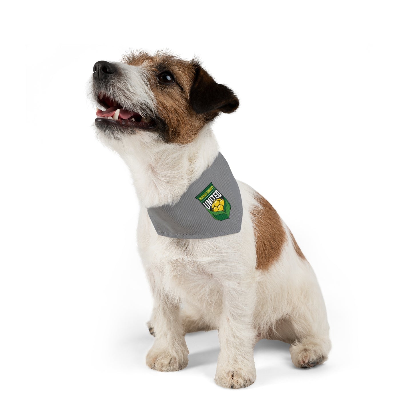 DKCU Pet Bandana Collar